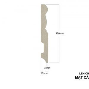 Len cao 12cm mặt cắt